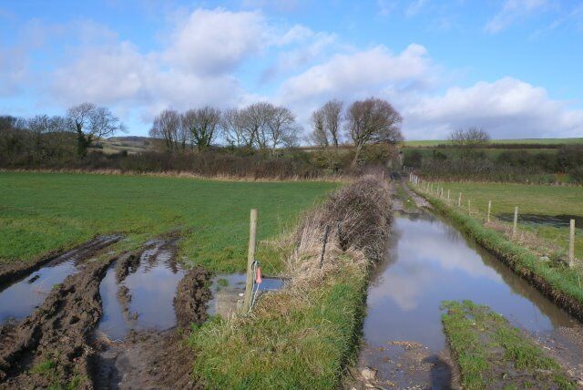 Flooded Track near Modbury Farm The flooded track is just north of Modbury Farm on the route to Lower Sturthill.