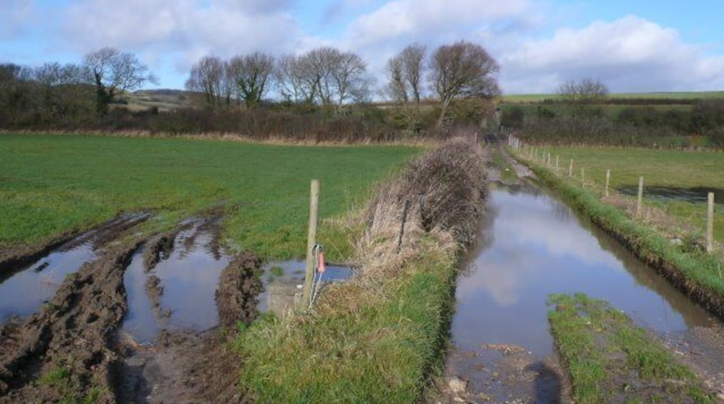 Flooded Track near Modbury Farm The flooded track is just north of Modbury Farm on the route to Lower Sturthill.