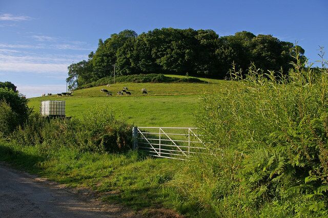 Waddon Hill Viewed from Waddon Way, near its junction with Yellow Lane