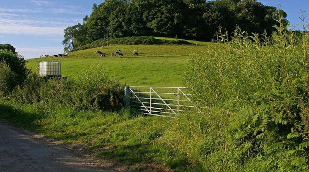 Waddon Hill Viewed from Waddon Way, near its junction with Yellow Lane