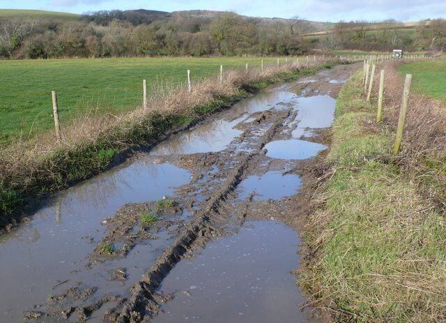 Muddy Track near Litton Cheney This track leads north from Modbury Farm to Lower Sturthill. The land is very wet because it is very close to the River Bride.