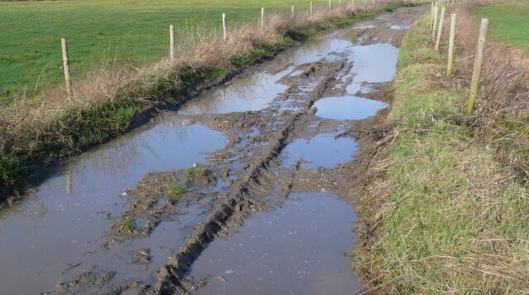 Muddy Track near Litton Cheney This track leads north from Modbury Farm to Lower Sturthill. The land is very wet because it is very close to the River Bride.