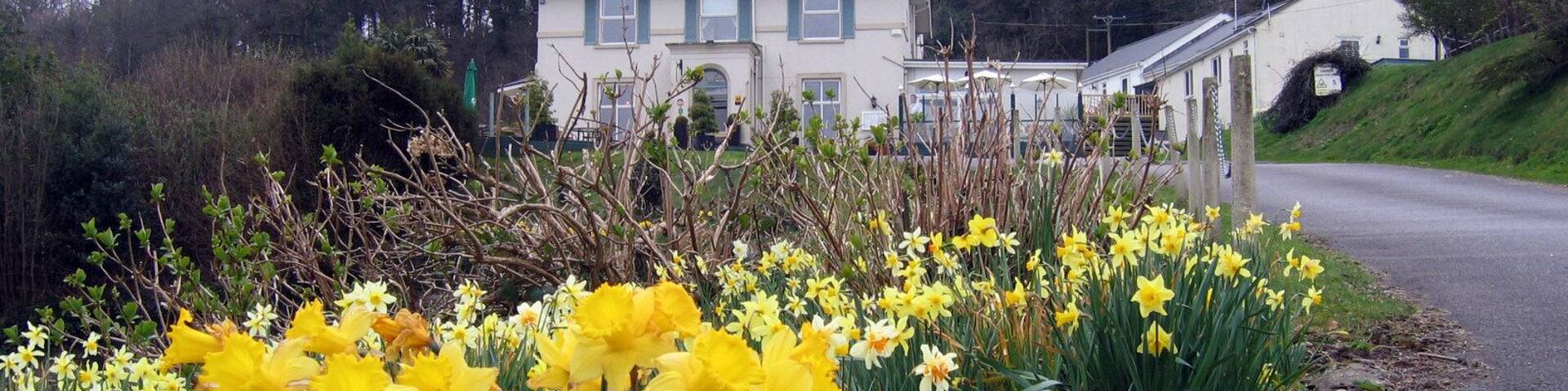 Entrance to the Fernhill Hotel Built for an ex-patriate Indian Army Colonel c.1850 it has been a hotel for at least the past 70 years and once had stunning sea views over the beaches to Golden Cap. For a 360° interactive panorama of the surrounding area, please visit this http://www.360panoramas.co.uk/index.php?page=Golden+Cap+-+Summit§ion=3&id=46