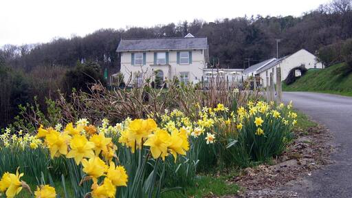 Entrance to the Fernhill Hotel Built for an ex-patriate Indian Army Colonel c.1850 it has been a hotel for at least the past 70 years and once had stunning sea views over the beaches to Golden Cap. For a 360° interactive panorama of the surrounding area, please visit this http://www.360panoramas.co.uk/index.php?page=Golden+Cap+-+Summit§ion=3&id=46