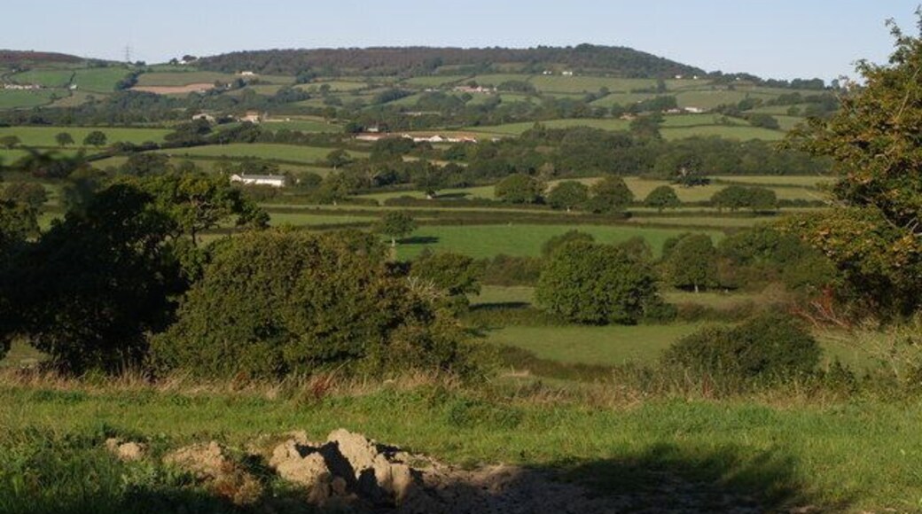 Marshwood Vale The northern fringe of the vale, with Cowdea Farm on the left, seen from Batt's Lane. Beyond are modern bungalows at Deer Park Farm in SY3998, with Lambert's Castle in the distance.