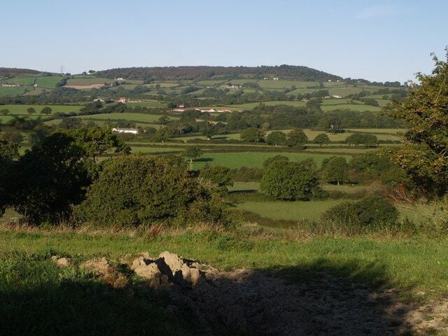 Rolling green hills, scattered trees, and a distant hilltop.