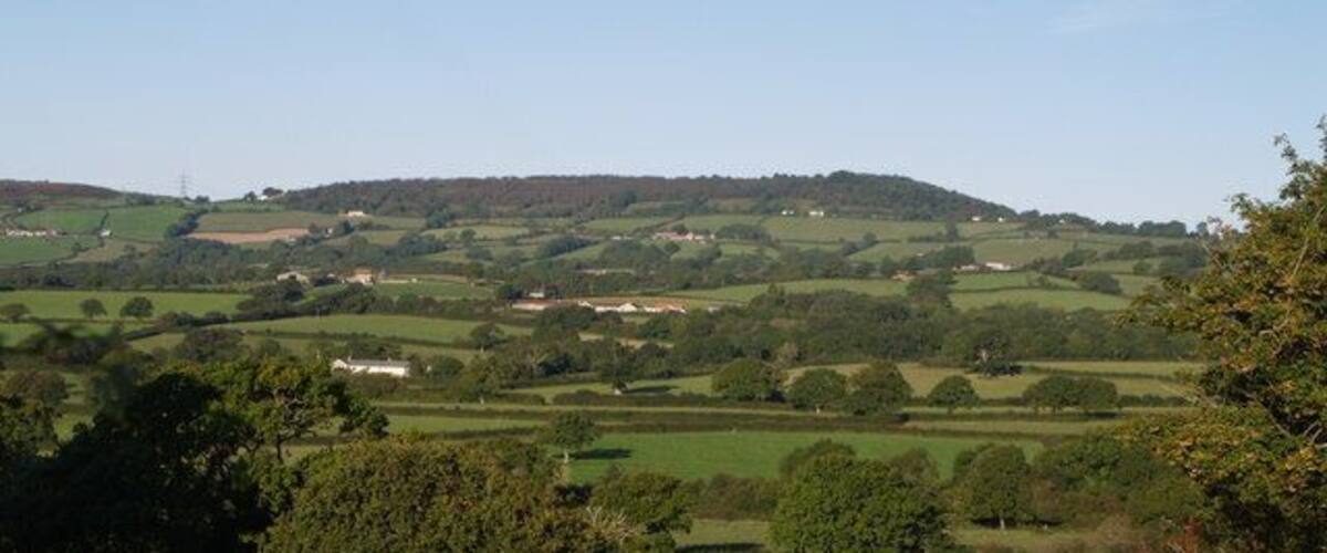 Rolling green hills, scattered trees, and a distant hilltop.