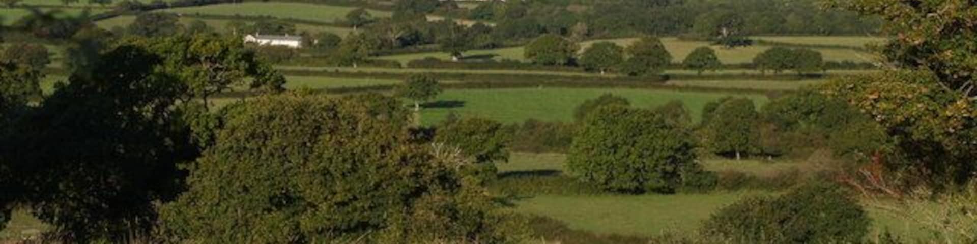 Rolling green hills, scattered trees, and a distant hilltop.