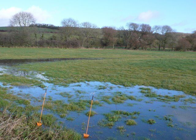 Waterlogged fields These fields are just off the track leading north from Modbury Farm to Lower Sturthill