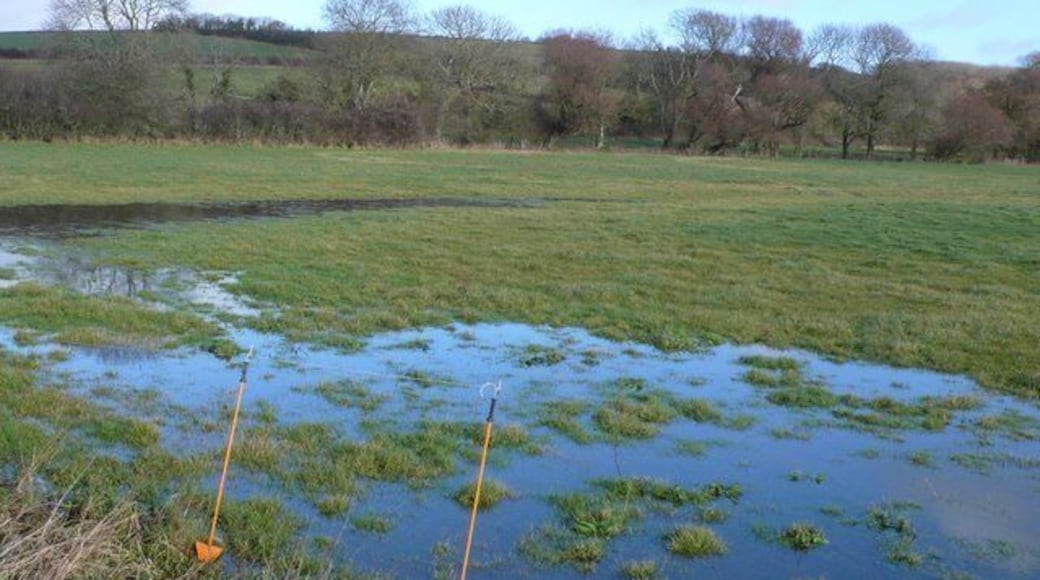 Waterlogged fields These fields are just off the track leading north from Modbury Farm to Lower Sturthill