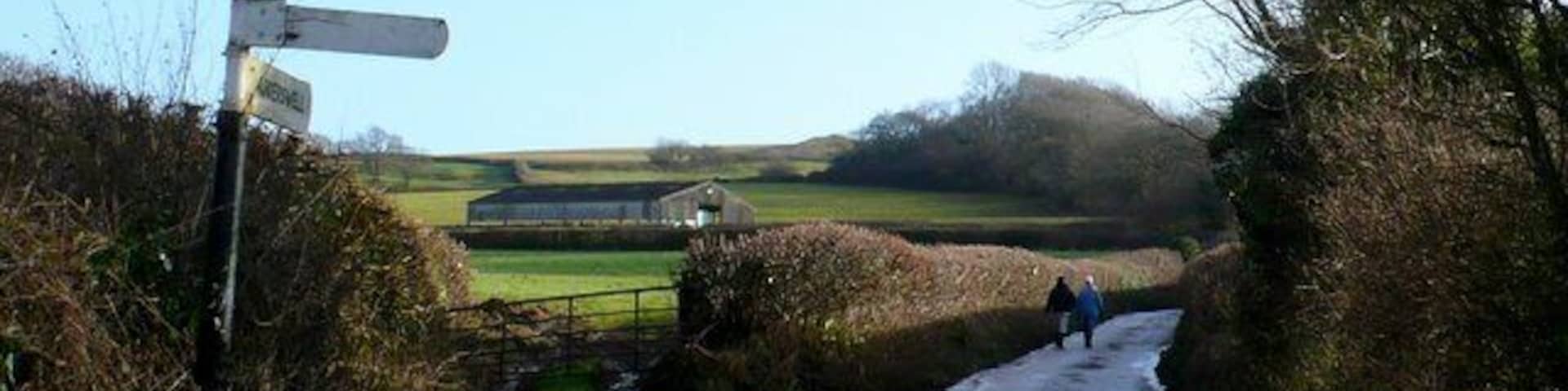 A rural road with a directional signpost, a puddle, and a distant building.