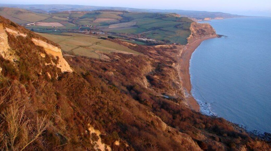 View from Golden Cap towards Chesil Beach
