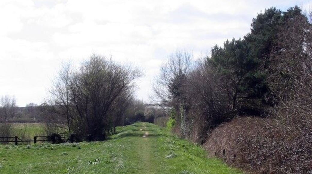 Old railway track-bed near Bridport This is the old track-bed of the railway from Maiden Newton to Bridport which closed in the 1970s. Parts of it remain as a public footpath.
