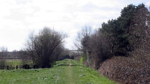 Old railway track-bed near Bridport This is the old track-bed of the railway from Maiden Newton to Bridport which closed in the 1970s. Parts of it remain as a public footpath.