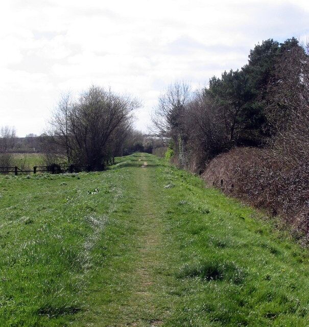A rural path flanked by trees and a fence.