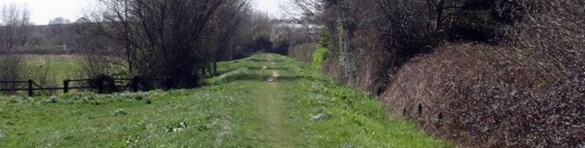 A rural path flanked by trees and a fence.