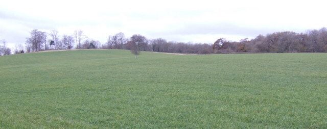 Knowle Hill, Nettlecombe, Dorset A sweep of arable land with woods on the crest of the rise. Dorset downland.