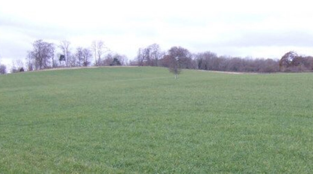 Knowle Hill, Nettlecombe, Dorset A sweep of arable land with woods on the crest of the rise. Dorset downland.