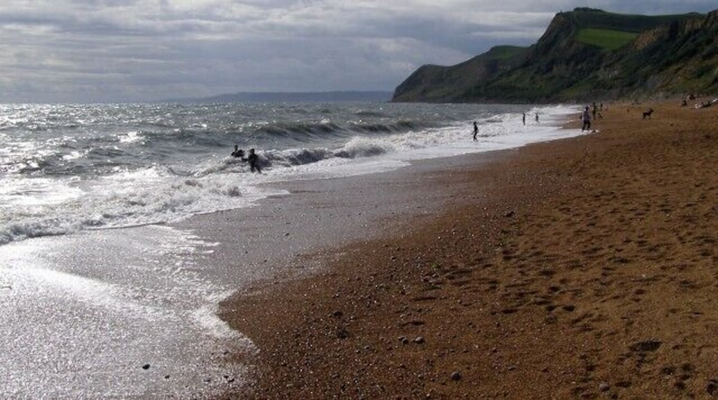Beach at Eype's Mouth Looking west along the shingle beach at Eype's Mouth, with Thorncombe Beacon in the middle distance. In the far distance, across the bay, is the start of the Devon coast, around Lyme Regis.
