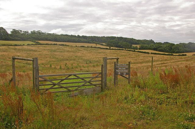 Africa Wood New woodland "planted in 2005 to commemorate the Battle of Trafalgar 1805". Why "Africa" and why commemorate Trafalgar here? The answers can be found at http://www.treeforall.org.uk/trafalgar/AboutTheProject/ and http://www.treeforall.org.uk/trafalgar/TrafalgarWoods/Otherwoods/Africa/ The Trafalgar Project was instituted by the Woodland Trust to plant a wood for every ship involved at the Battle of Trafalgar. HMS Africa was one such ship. She was a small two decker, built in Deptford in 1781, and played an early role at Trafalgar, having arrived before the bulk of the British fleet. She was eventually broken up at Portsmouth in 1813. Her captain at Trafalgar, Henry Digby, was a Dorset man. Further naval connections with this site are firstly the role of nearby Bridport in rope making for the Trafalgar fleet and secondly the fact that the Mappercombe estate, on whose land it is planted, was the home of a distinguished Admiral, Sir Victor Crutchley VC, KCB, DSC, DL, RN, until his death in 1986.