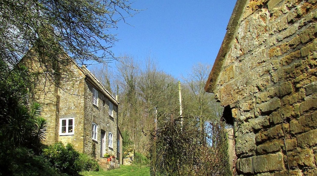 Cottage and cider house, Mappercombe. The C17 (dated 1698) cottage is grade II* listed, as is the cider house, whose west wall is on the immediate right. Footpath W39 70 climbs between them.