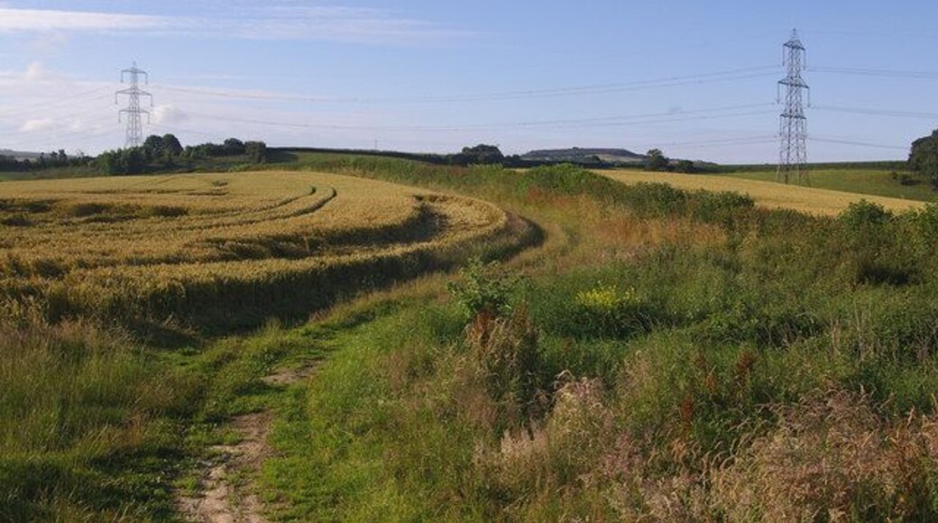 South from Yellow Lane In the distance to the right of the photo can be seen Shipton Hill.