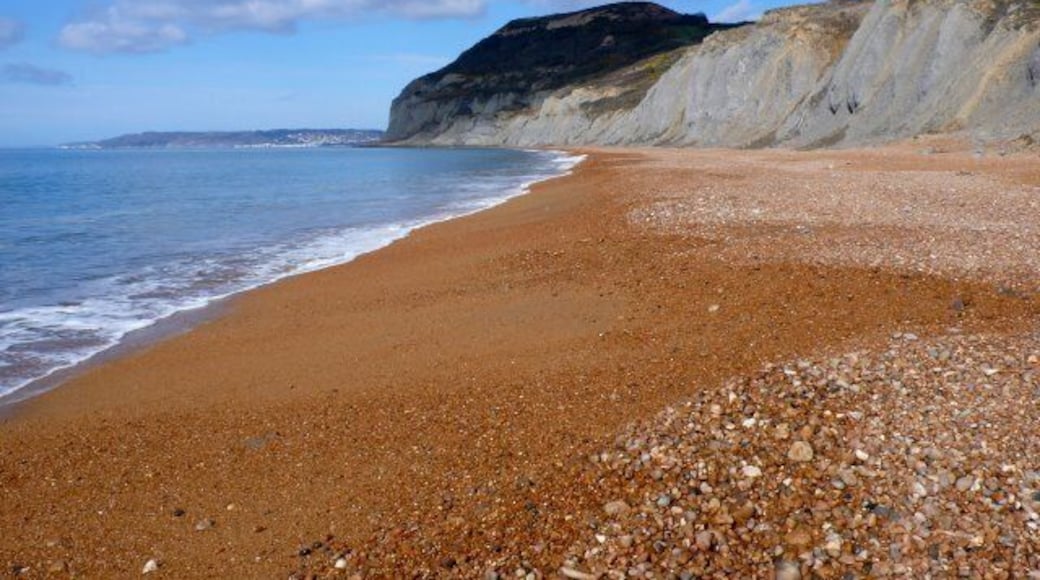 Seatown Beach View west along the beach from close to Seatown. The tide is just below its highest point and the beach is well covered with a deep layer of shingle. The depth of the shingle on the beach can vary by several metres depending on the tide and the weather.