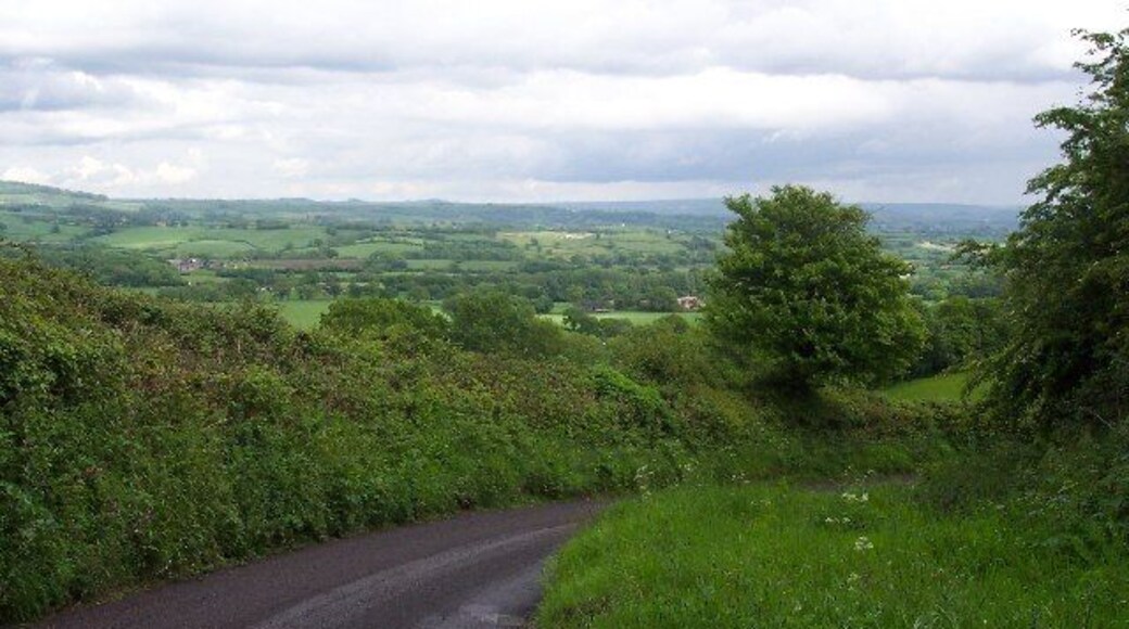 Looking back over the Marshwood Vale. Taken on Mutton Street near Marshwood.