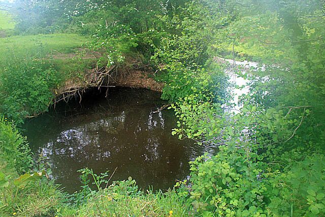 Brook-Side Pool This is a very strange feature. The brook at this point is quite straight and fast flowing but has this almost circular pool cut out of its bank, it simply doesn't seem big enough to have been a meander which has been cut-off. Perhaps it is the result of a human excavation activity?