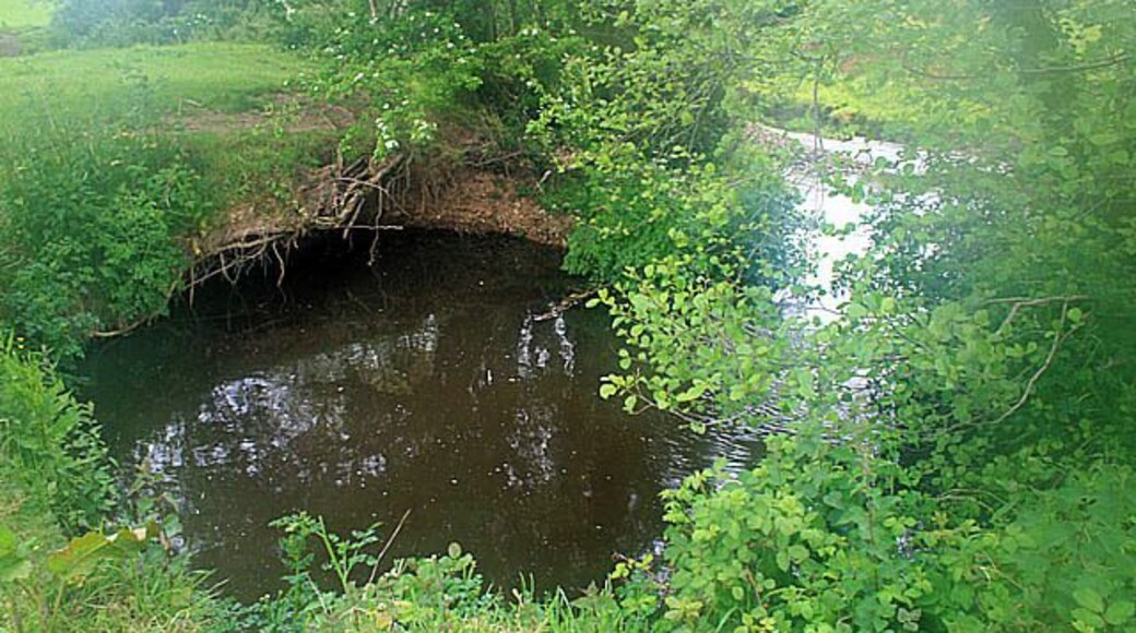 Brook-Side Pool This is a very strange feature. The brook at this point is quite straight and fast flowing but has this almost circular pool cut out of its bank, it simply doesn't seem big enough to have been a meander which has been cut-off. Perhaps it is the result of a human excavation activity?