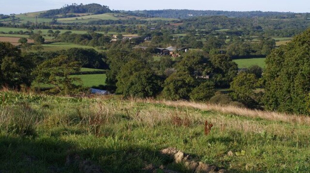 Farms in the Marshwood Vale The prominent farm in the centre is Cypress Farm, and beyond to the left is Taphouse Farm. The nearer Oakford Farm is largely hidden in trees. Beyond the Marshwood Vale rises Conegar Hill. Seen from Batt's Lane.
