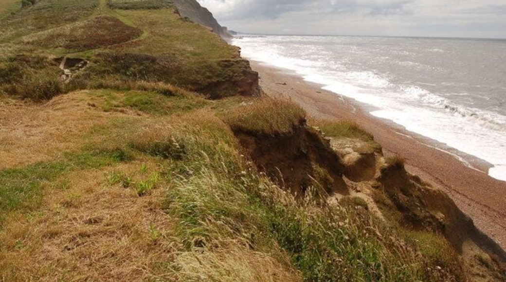Dorset coastline east of Eype's Mouth View looks eastwards towards West Bay.