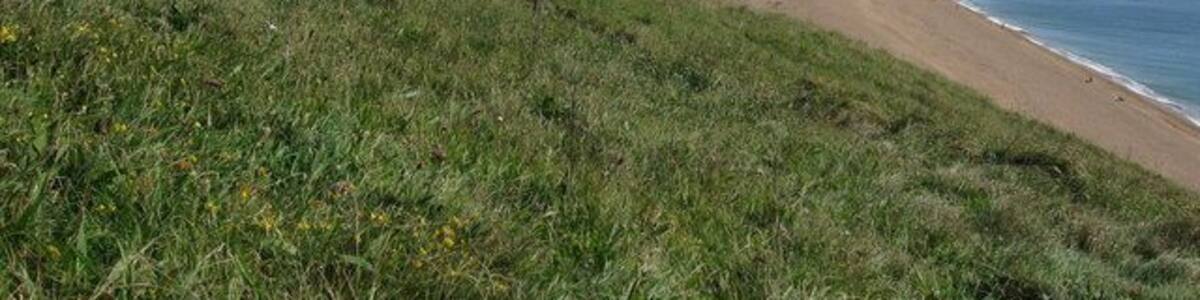 View from the coast path near Burton Freshwater, Dorset By getting close to the ground, I managed to hide the ugly caravan site nestling in the dip. The village of Burton Bradstock is just visible left of centre.
