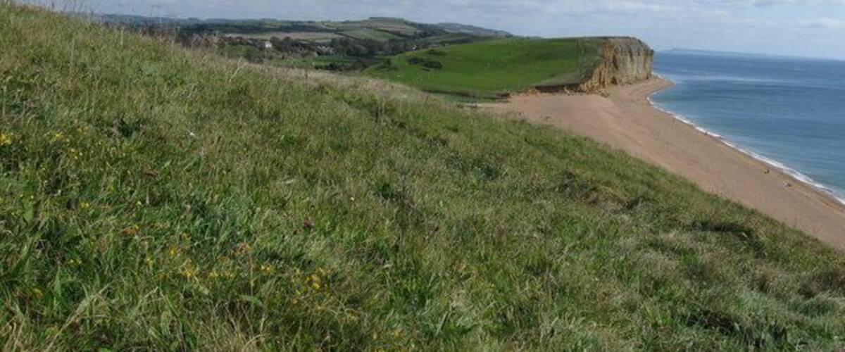 View from the coast path near Burton Freshwater, Dorset By getting close to the ground, I managed to hide the ugly caravan site nestling in the dip. The village of Burton Bradstock is just visible left of centre.