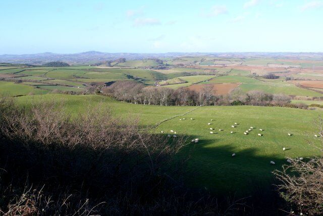 View North From Shipton Hill The hill is one of the highest and most prominent hills in the area visible from a considerable distance. In the middle is the unnamed copse above Uploders Farm and beyond are the strip lynchets between Loders and Uploders.
