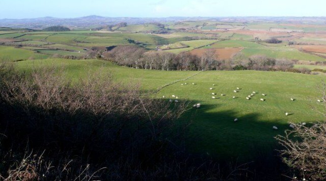 View North From Shipton Hill The hill is one of the highest and most prominent hills in the area visible from a considerable distance. In the middle is the unnamed copse above Uploders Farm and beyond are the strip lynchets between Loders and Uploders.