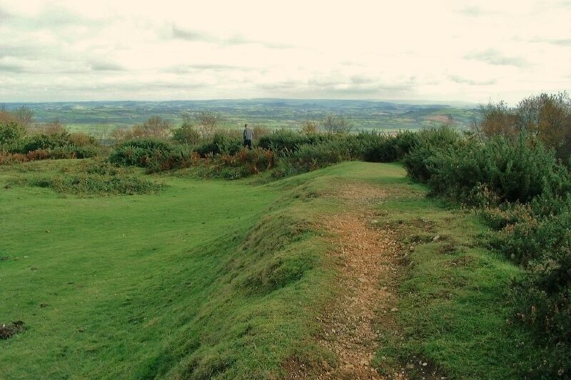 A grassy field with a dirt path leading to a hiker in the distance.
