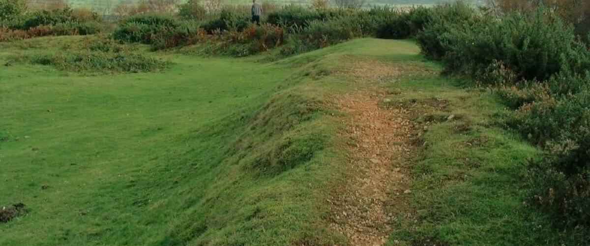 A grassy field with a dirt path leading to a hiker in the distance.
