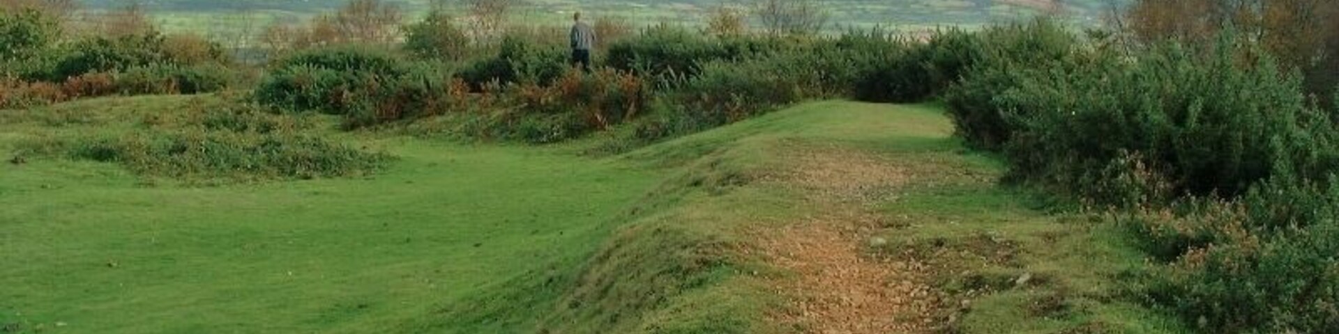 A grassy field with a dirt path leading to a hiker in the distance.
