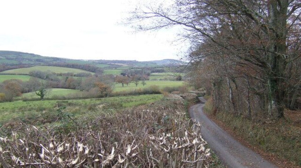 Hungry Hill View south across Dorset downlands. A newly trimmed hedge permits this image of wood, lane and countryside