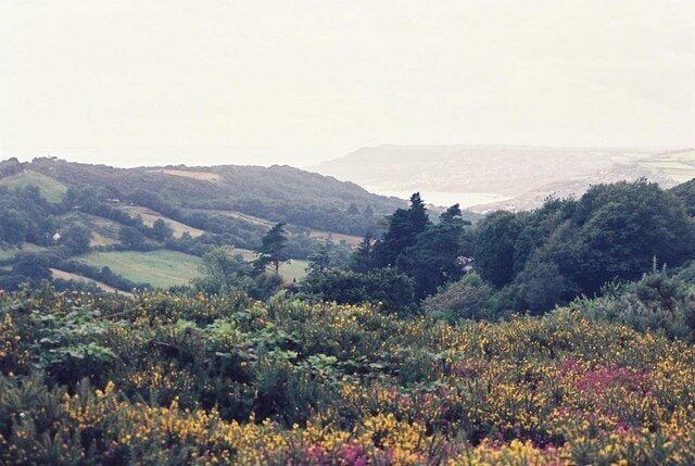 Hardown Hill: view west Looking towards the Devon coast.