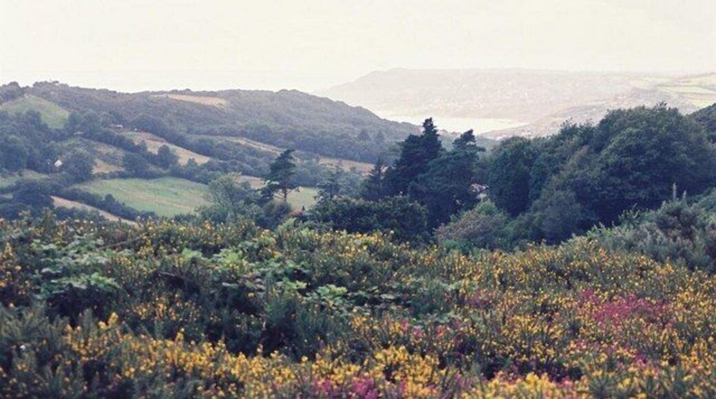 Hardown Hill: view west Looking towards the Devon coast.