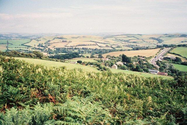 Hardown Hill: view east Looking out into the Dorset countryside, with the A35, right of picture, heading towards Chideock and Bridport.
