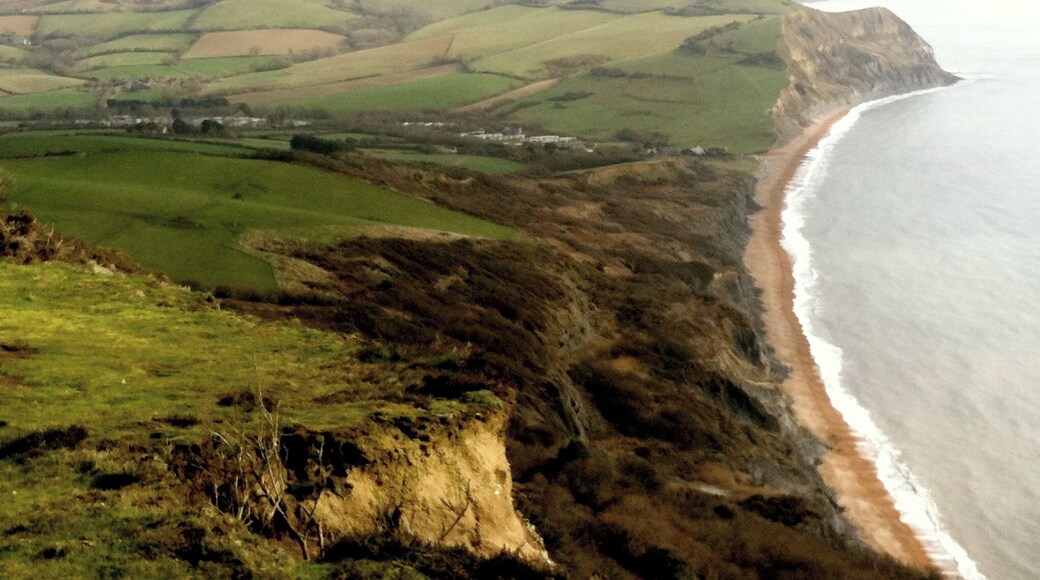 Highest point on England's South coast. Taken in Seatown, England