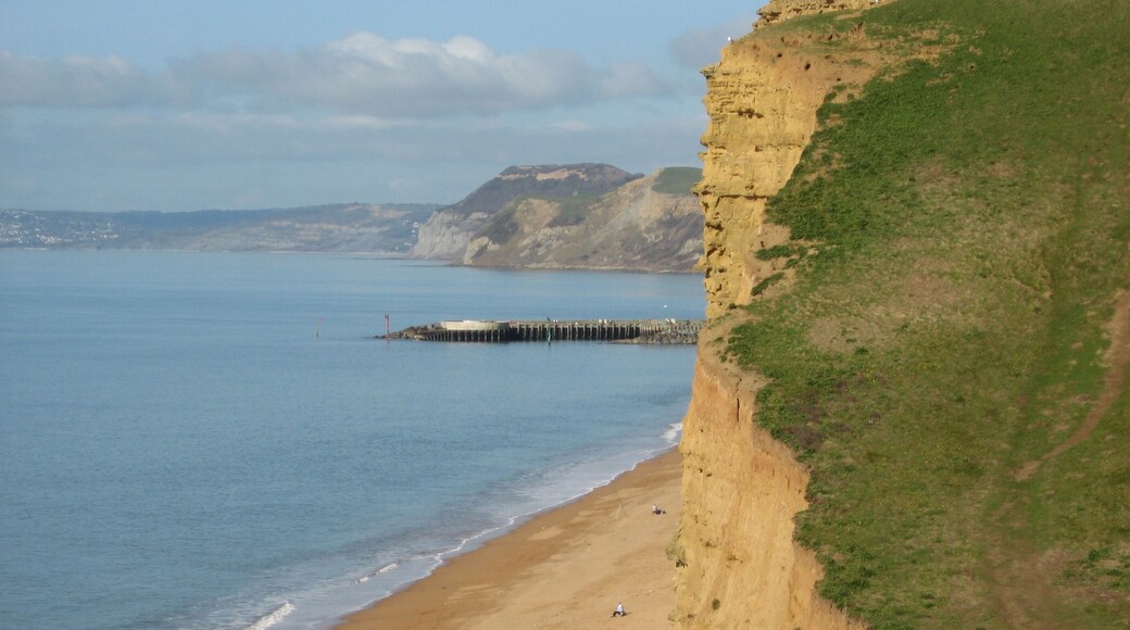 Dorset Cliffs.