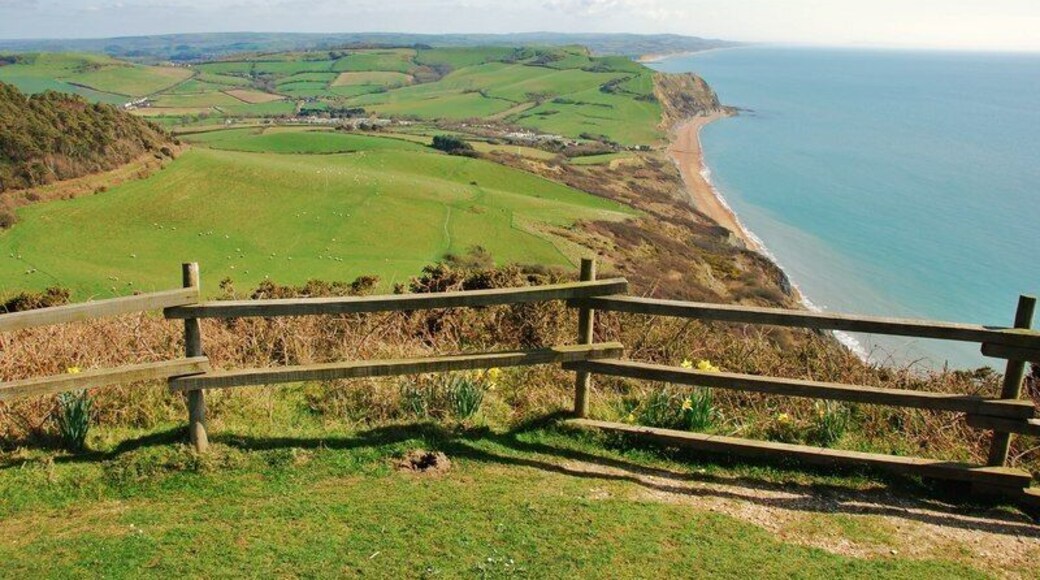 Golden Cap: highest point on the south coast of England. Photo taken from the Trig Point showing the view, from the plateaux, on top of Golden Cap Dorset.