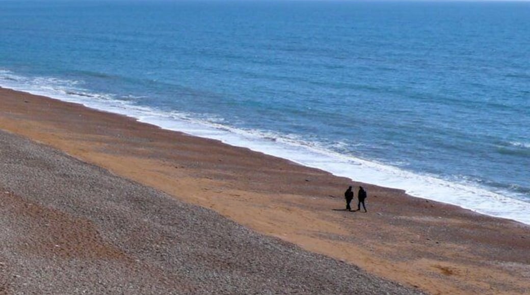 Beach near Eype Mouth Only a small section of the NE corner of this square is on land just west of Eype Mouth. This is the view SE from just above the beach.