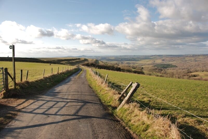 Eggardon Hill: Track to Powerstock