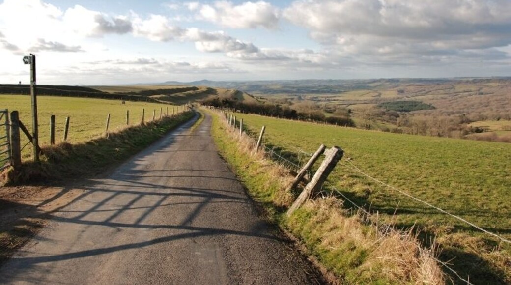 Eggardon Hill: Track to Powerstock