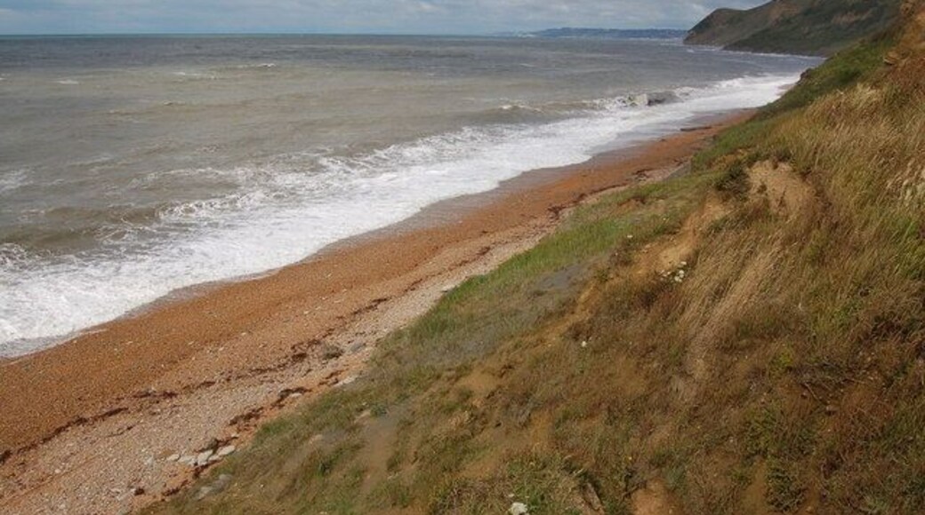 Dorset coastline near Eype's Mouth View looks westwards towards Thorncombe Beacon with Lyme Regis in the far distance.